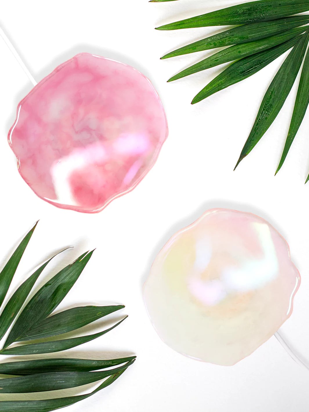 2 Rose & Quartz Holographic Wireless Charger together with plants as a background